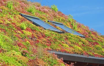 Bwlch Derwin living roof systems